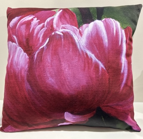 Housse de Coussin